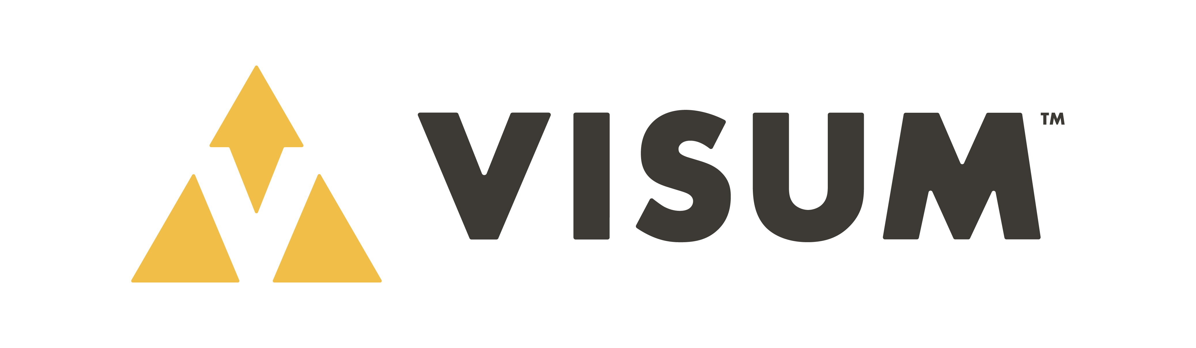 VISUM Logo